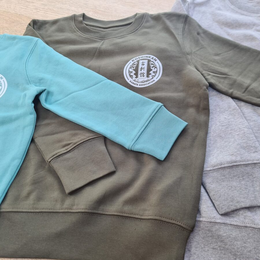 Adult Sweatshirt